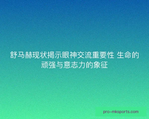 舒马赫现状揭示眼神交流重要性 生命的顽强与意志力的象征