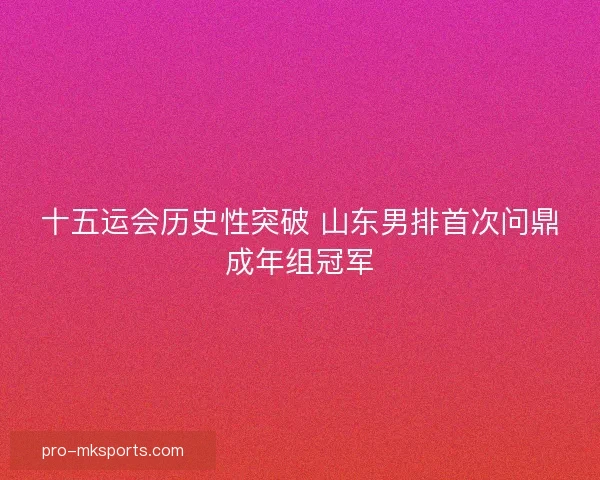 十五运会历史性突破 山东男排首次问鼎成年组冠军