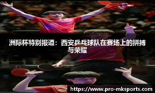 mk体育APP